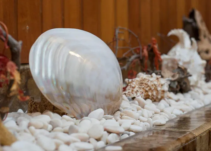 Brisa فندق آكورونيا